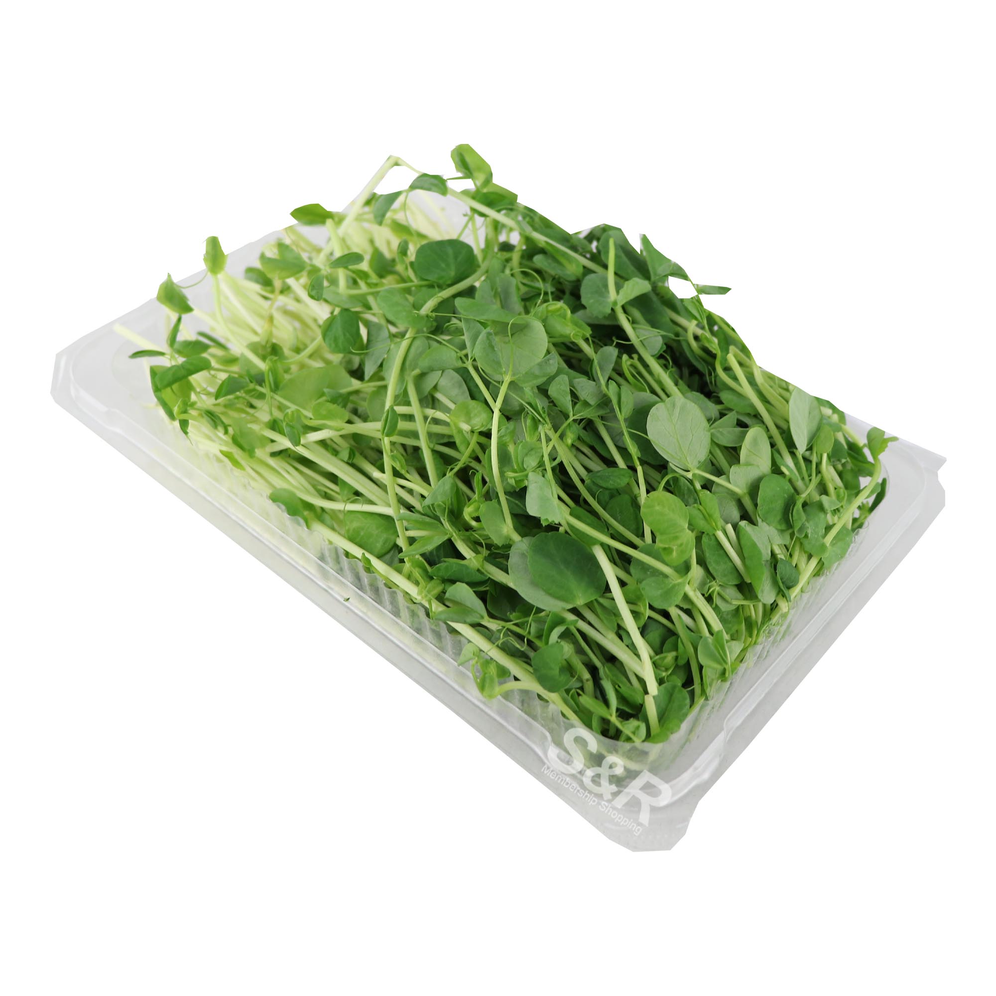 Pedro Farms Inc. Microgreens Pea Shoot 100g Pedro Farms Inc. Microgreens Pea Shoot 100g